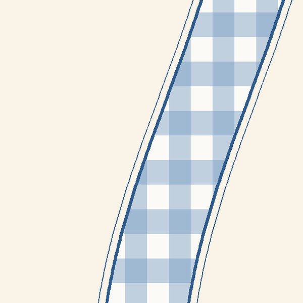 A curve of the blue gingham ribbon